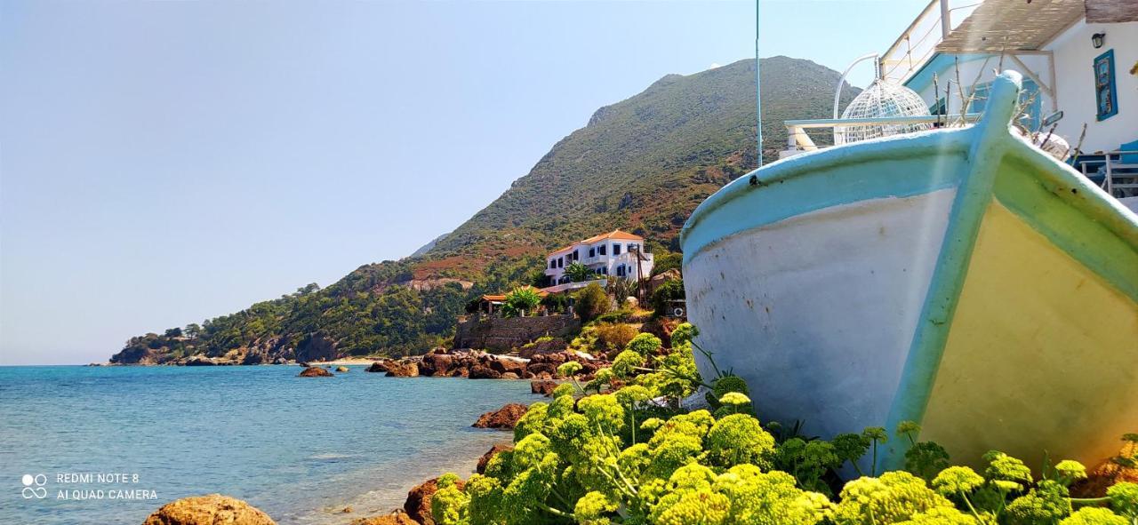 Sea Sound Villa Agios Dimitrios (Samos) Exterior foto